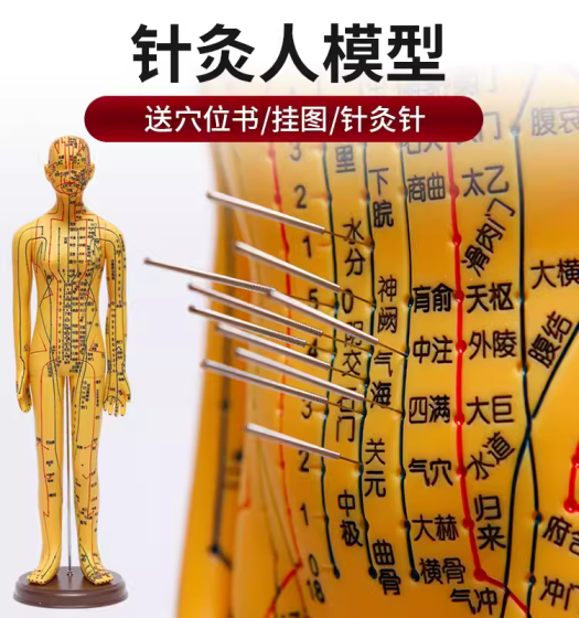 中医针灸教学模型男女小皮人 可扎针全身十二经络图硅胶扎针练习模特